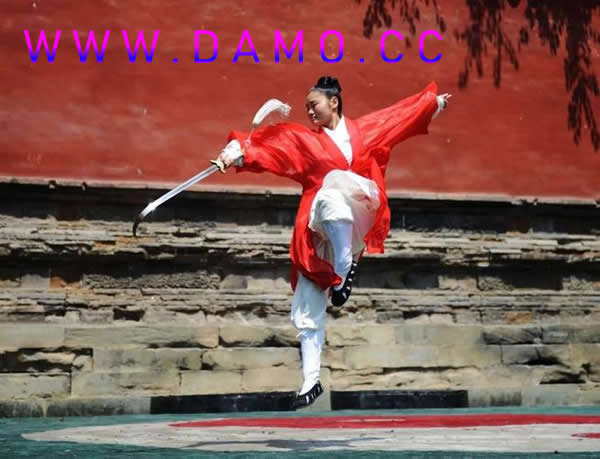武校 武术