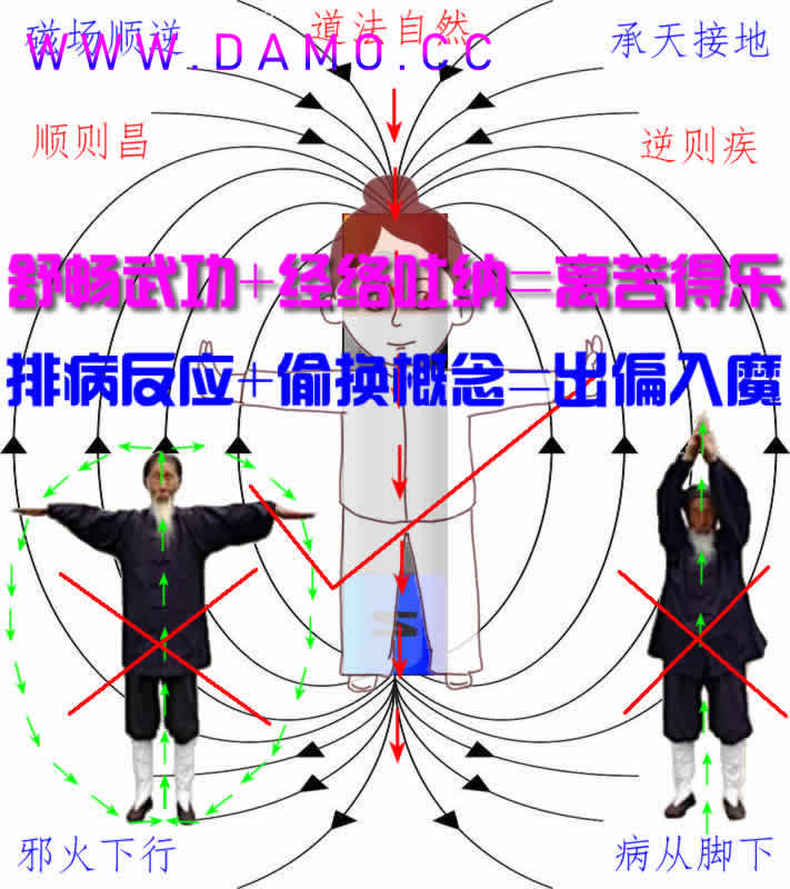 养生课 养生