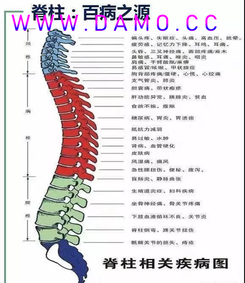 养生课 养生