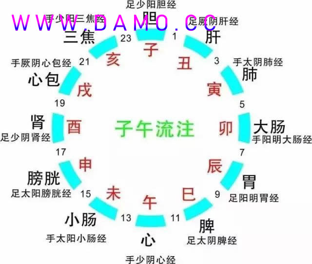养生课 养生