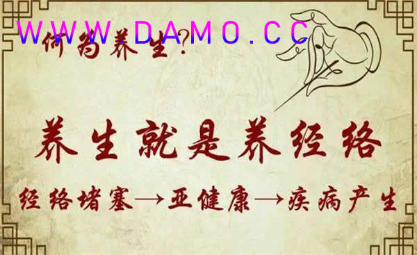 养生课 养生
