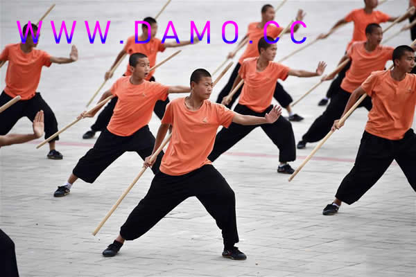 养生课 养生